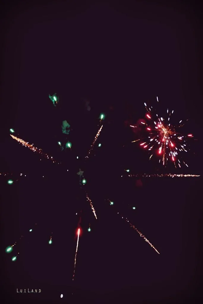 Nyárbúcsúztató főzőverseny, Fotó: LuiLand 