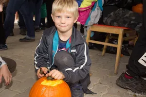 Fotók 1 album: Babai Lalinda