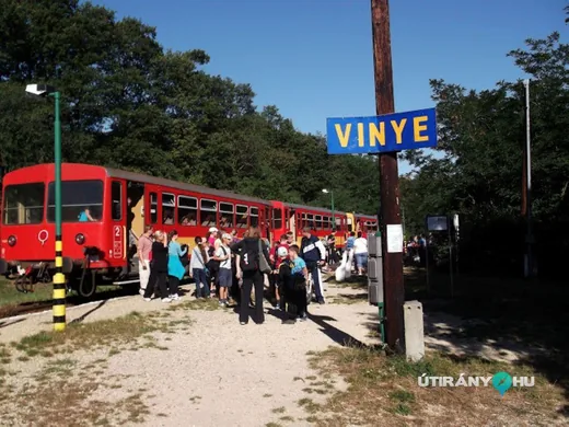 'Vinye vasútállomás - Bakonyvasút' cikk borítóképe