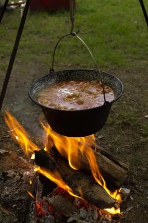 Nyárbúcsúztató főzőverseny, Fotó: Babai Lalinda