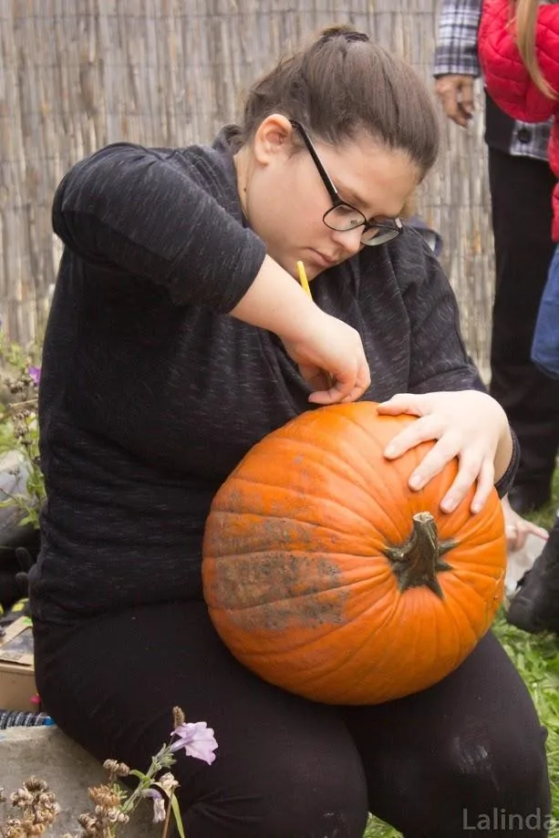 Fotók 1 album: Babai Lalinda