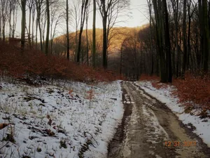 Kedvcsináló képek tavalyról! Fotók: Horváth Attila