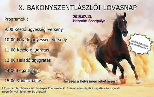 'X. Bakonyszentlászlói Lovasnap' cikk borítóképe