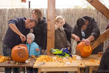 Fotók 1 album: Babai Lalinda