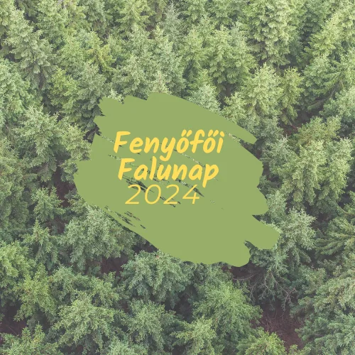 'Fenyőfői Falunap 2024' cikk borítóképe