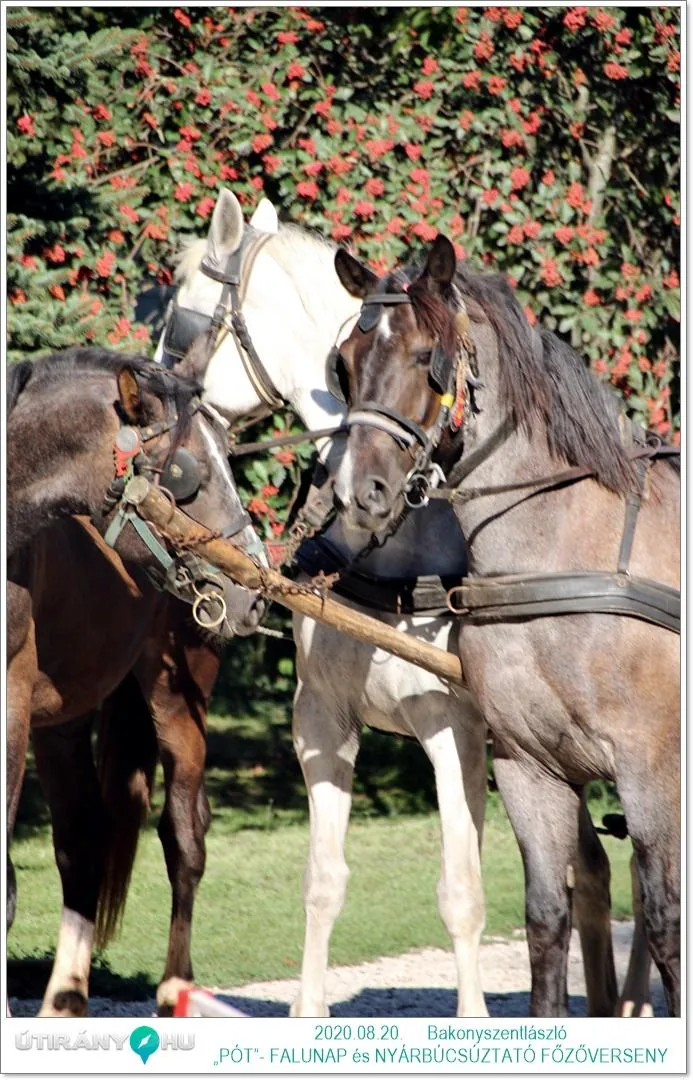 „PÓT”- FALUNAP és NYÁRBÚCSÚZTATÓ FŐZŐVERSENY KÉPEK / Fotók: Útirány.hu