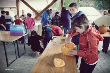 IX. Tökfesztivál