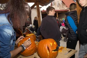 Fotók 2 album: Babai Lalinda