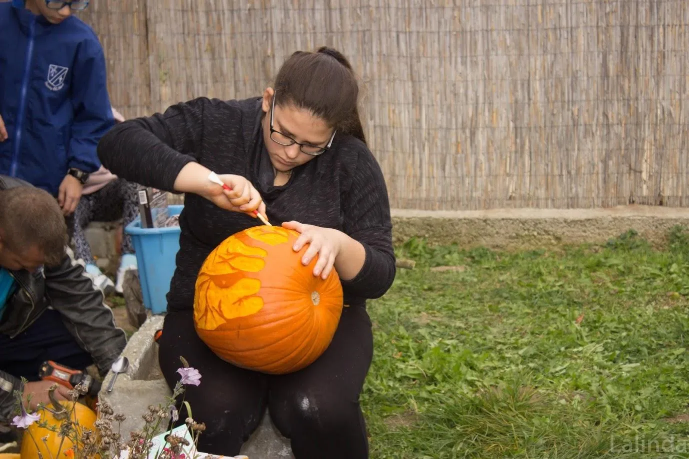 Fotók 2 album: Babai Lalinda