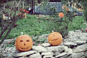 Tökfesztivál 2018. Fotók: Útirány.hu