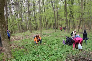 Képek a 2017-es rendezvényről: