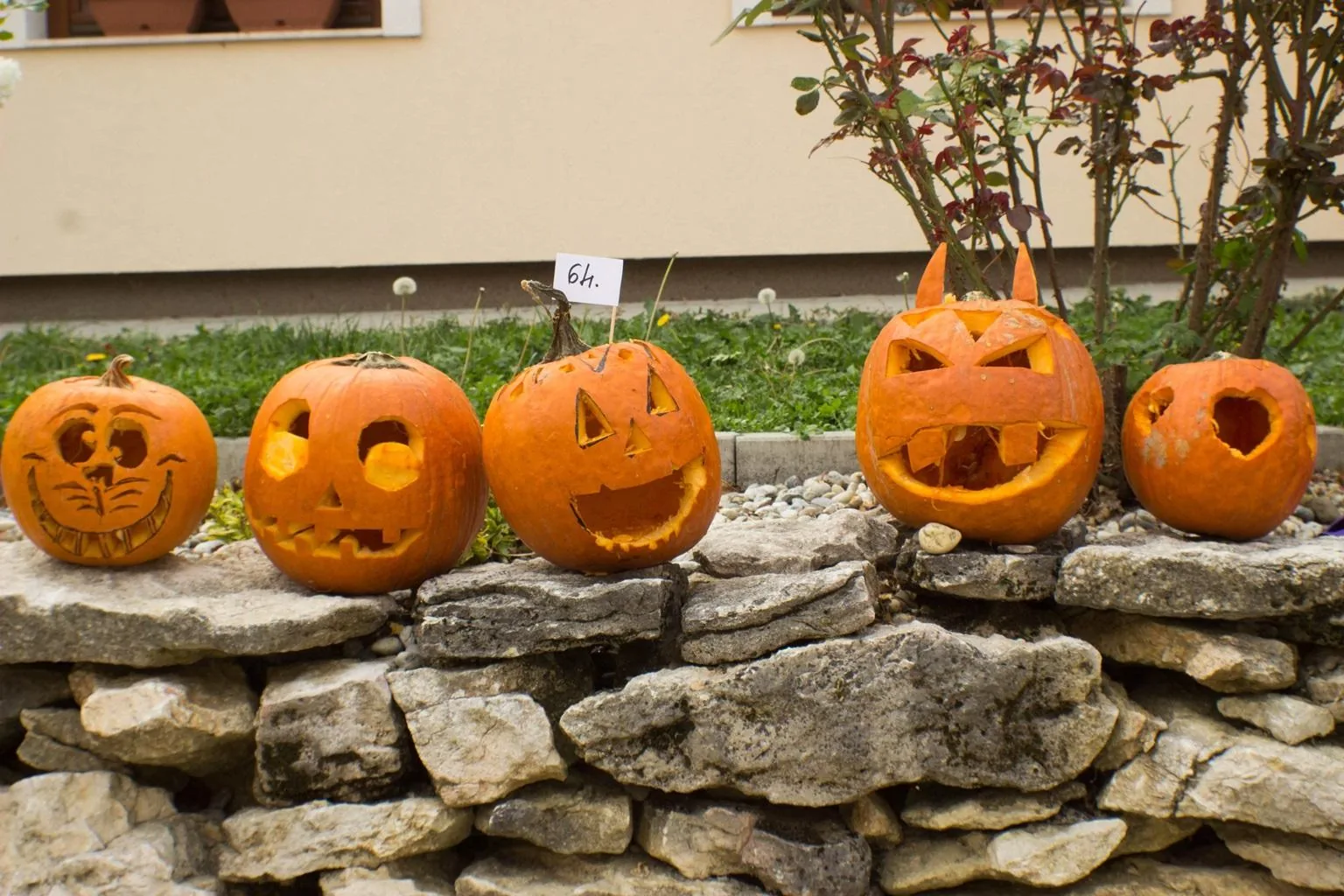 Tökfesztivál 2018. Képek: Babai Lalinda