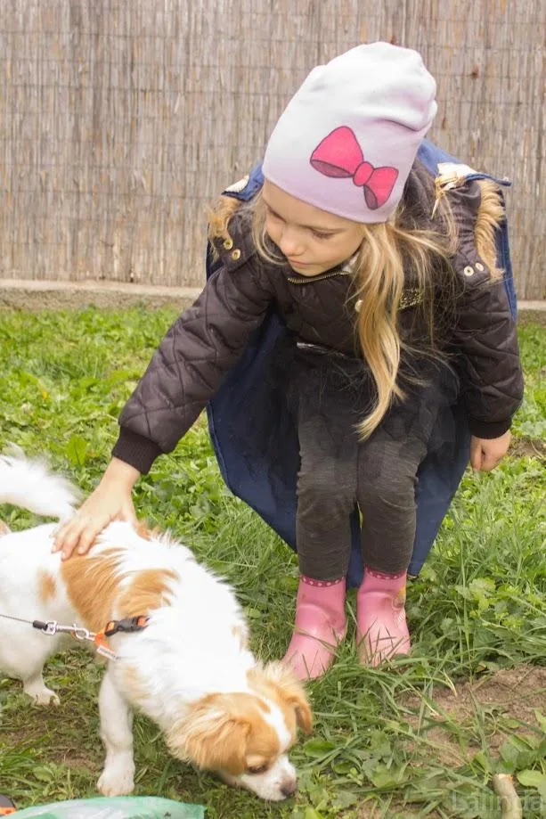 Fotók 1 album: Babai Lalinda