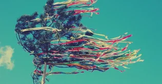 Majális Fenyőfőn borítóképe