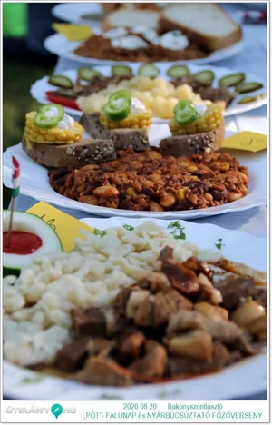 „PÓT”- FALUNAP és NYÁRBÚCSÚZTATÓ FŐZŐVERSENY KÉPEK / Fotók: Útirány.hu