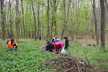 Képek a 2017-es rendezvényről: