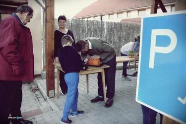 IX. Tökfesztivál