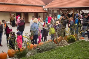 Fotók 2 album: Babai Lalinda