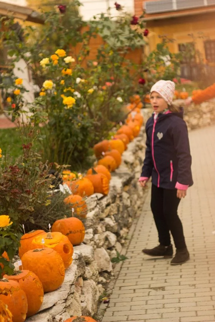 Tökfesztivál 2018. Képek: Babai Lalinda