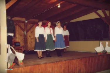 Márton Nap Fenyőfőn