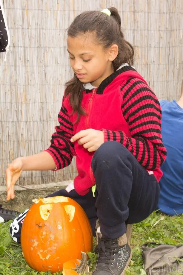 Fotók 1 album: Babai Lalinda