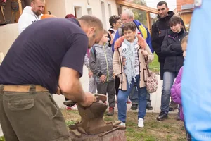 Fotók 1 album: Babai Lalinda