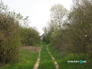 képek 2014