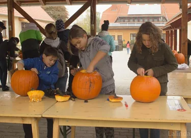Töklámpás Parádé