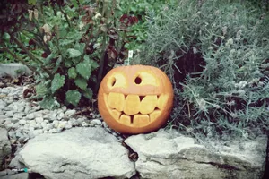 Tökfesztivál 2018. Fotók: Útirány.hu