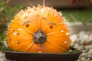 Tökfesztivál 2018. Képek: Babai Lalinda