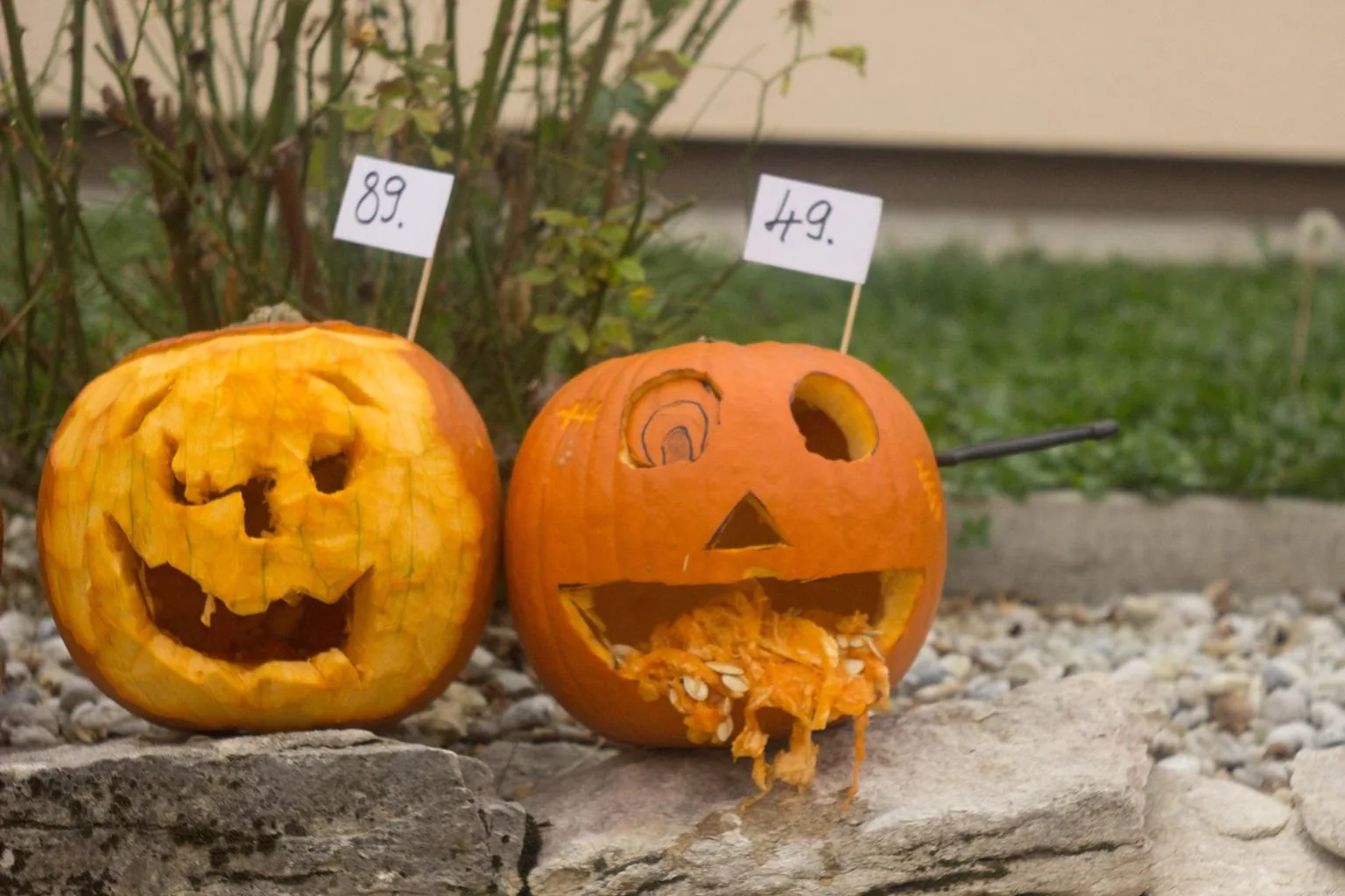 Tökfesztivál 2018. Képek: Babai Lalinda