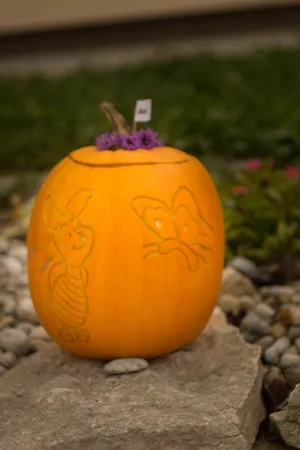 Tökfesztivál 2018. Képek: Babai Lalinda