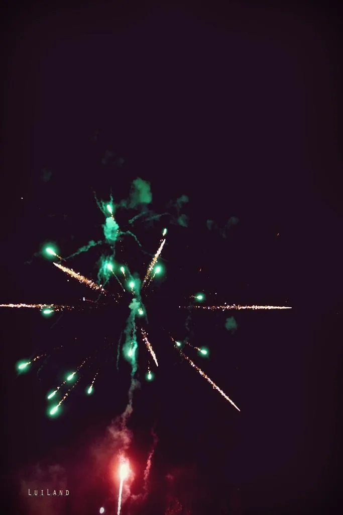 Nyárbúcsúztató főzőverseny, Fotó: LuiLand 