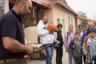 Töklámpás Parádé