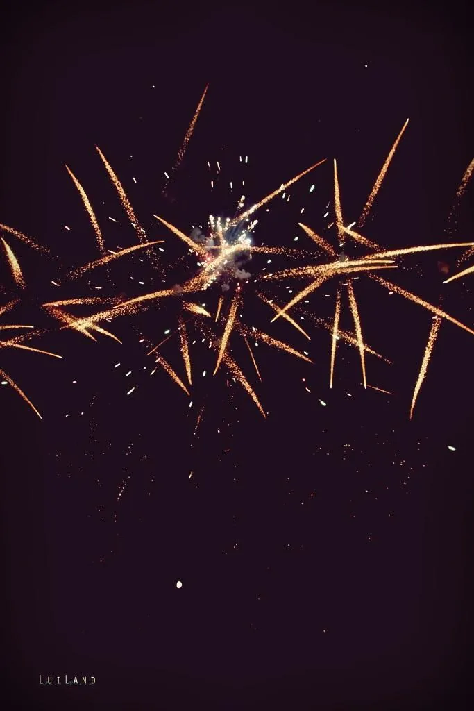 Nyárbúcsúztató főzőverseny, Fotó: LuiLand 