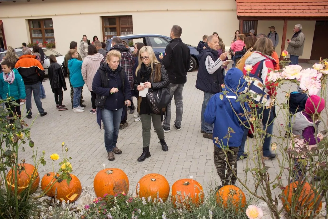 Fotók 2 album: Babai Lalinda