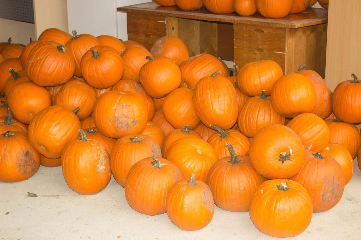 Fotók 1 album: Babai Lalinda