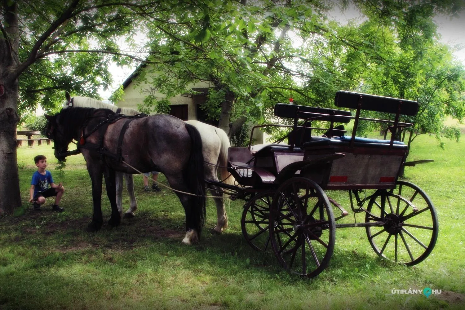 Pincefesztivál 2019 / Fotók: Útirány.hu