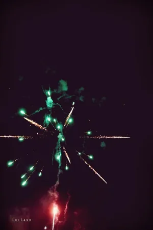 Nyárbúcsúztató főzőverseny, Fotó: LuiLand 