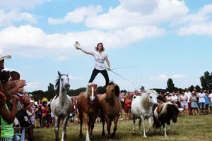 2019 Bakonyi Vágta. Fotók: Útirány.hu