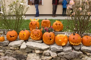 Töklámpás Parádé borítóképe