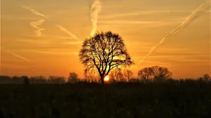 Kapcsolódó képek, hogy tudjuk, mire kellene vigyáznunk...
