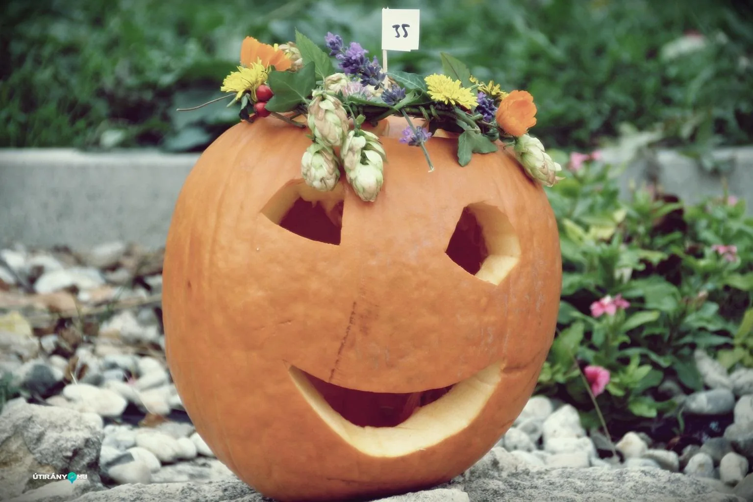 Tökfesztivál 2018. Fotók: Útirány.hu