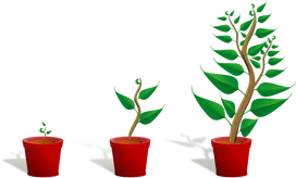 Ültess fát Alapítvány borítóképe