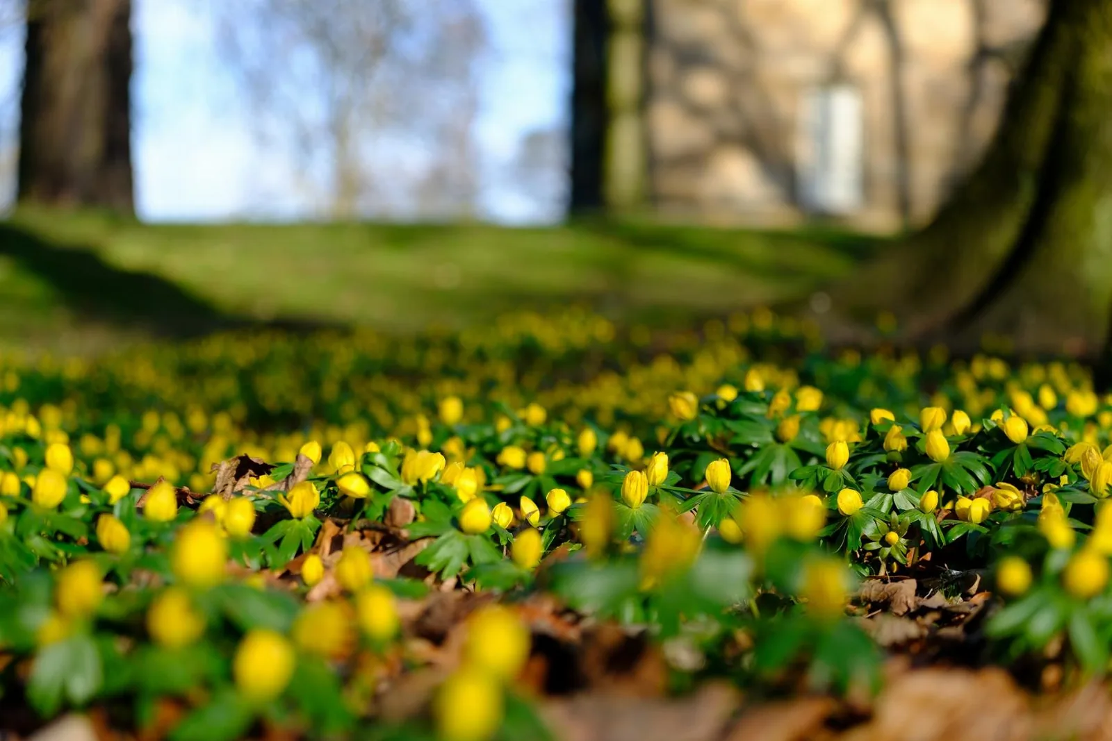 Kapcsolódó képek, hogy tudjuk, mire kellene vigyáznunk...