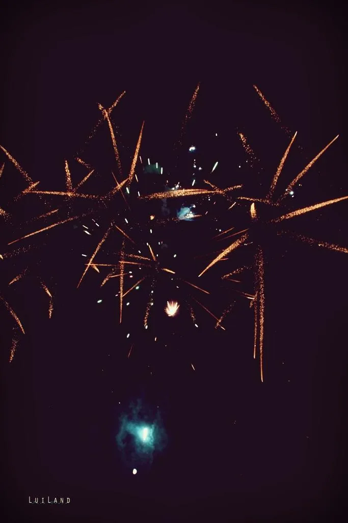 Nyárbúcsúztató főzőverseny, Fotó: LuiLand 