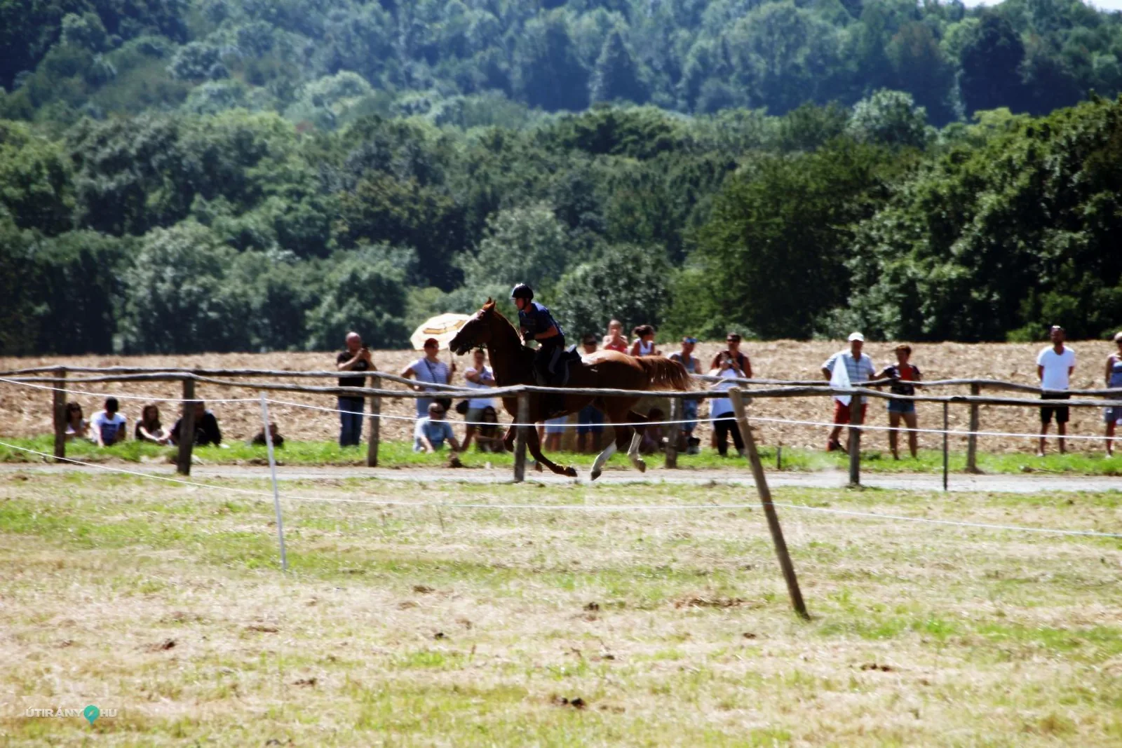 2019 Bakonyi Vágta. Fotók: Útirány.hu