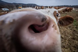 További korlátozás alá tartozó körzet létesítése borítóképe