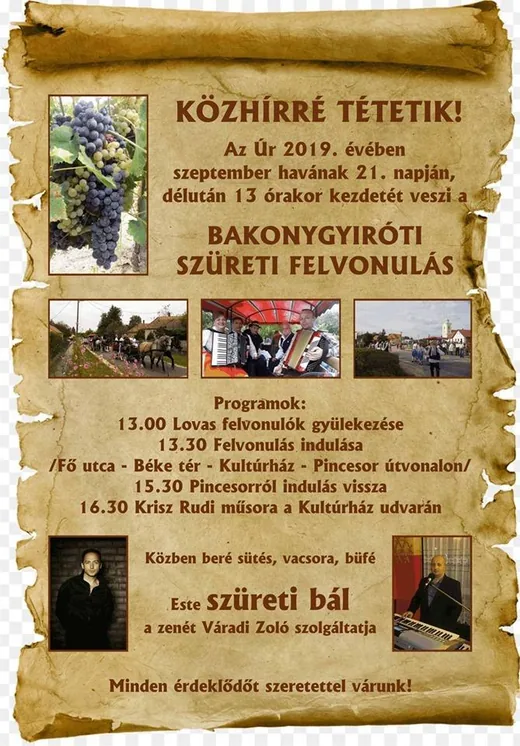 'Szüreti Felvonulás' cikk borítóképe