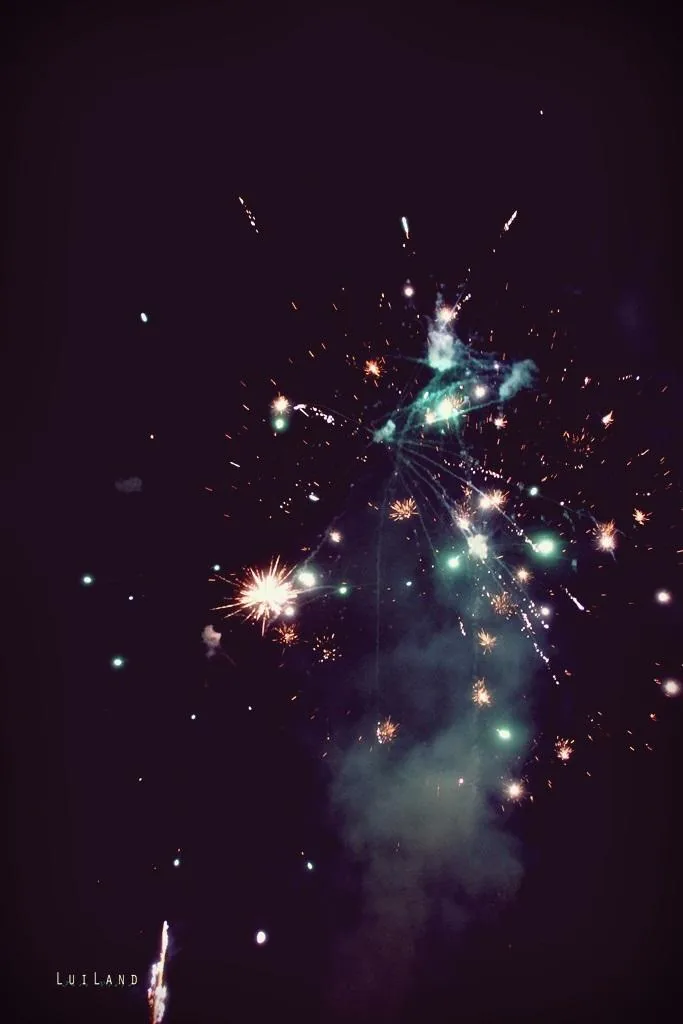 Nyárbúcsúztató főzőverseny, Fotó: LuiLand 